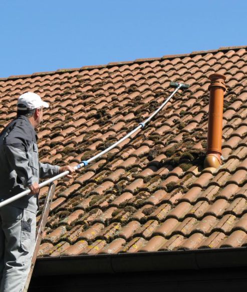 Nettoyage et Démoussage de toiture à Levallois-Perret en Ile de France